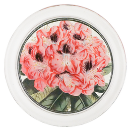 4C-Rhododendron- 4C-Rhododendron-