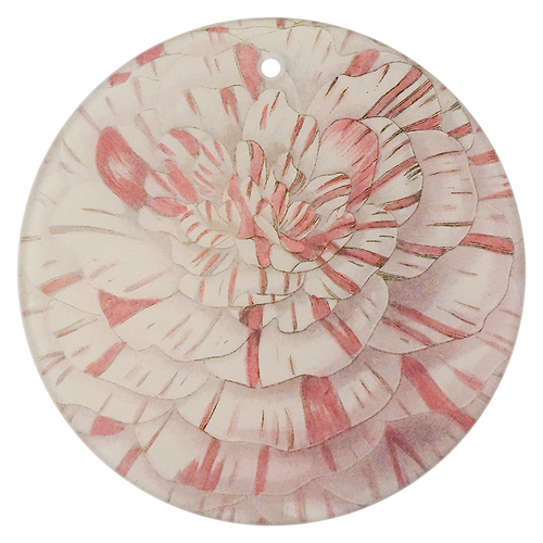 Camellia Japonica Alberta