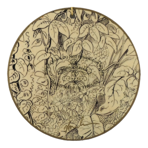 Camellia Japonica Campbelli