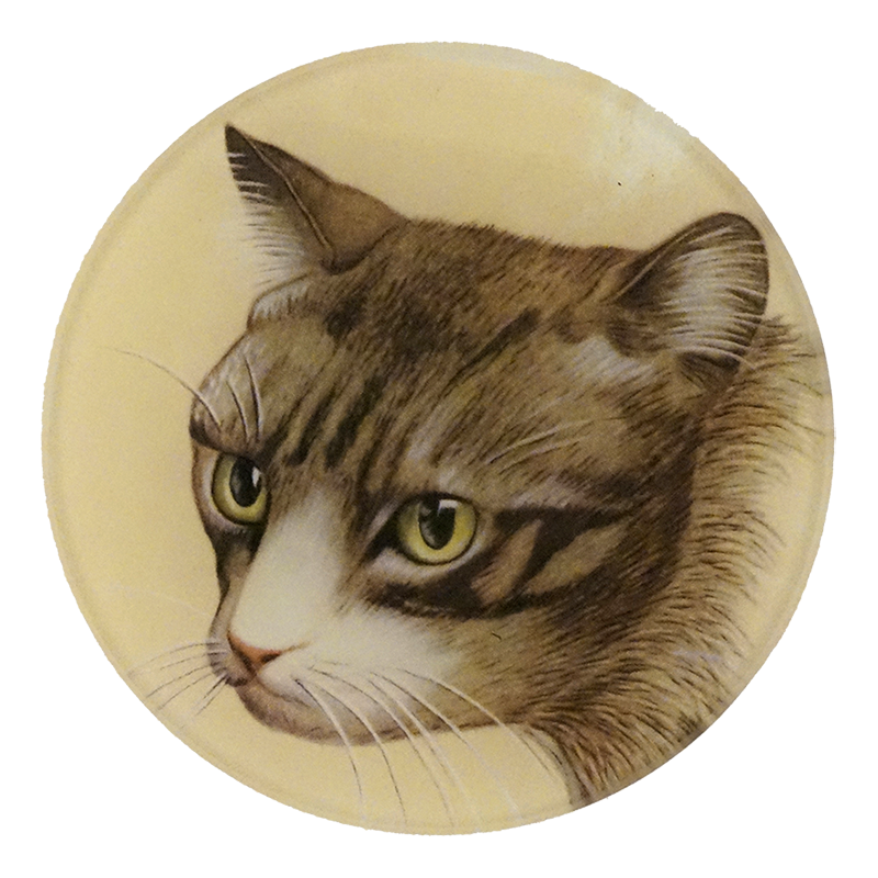 A four inch round plate of a portrait of a cat 