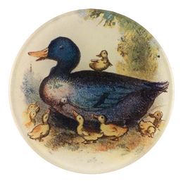 Dame Duck