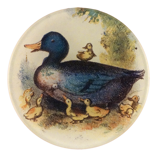 Dame Duck
