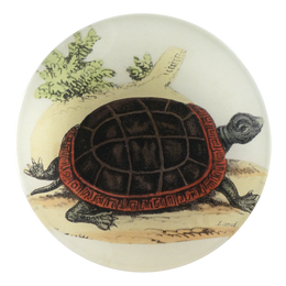 A four inch round handmade decoupage plate titled Land Turtle
