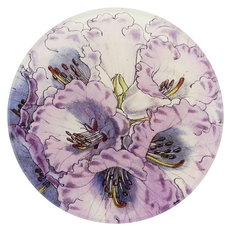 A four inch round plate with purple floral design on a white background