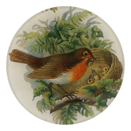 Robin with Nest