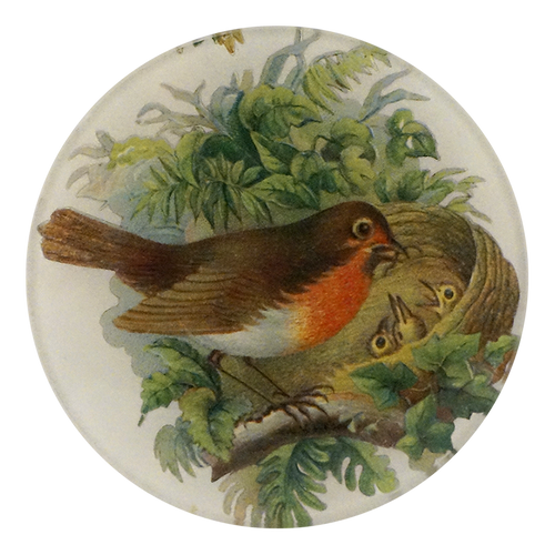 Robin with Nest