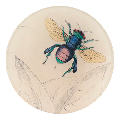 Orchid Bee 2 - FINAL SALE