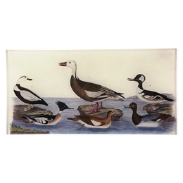 Ducks 69
