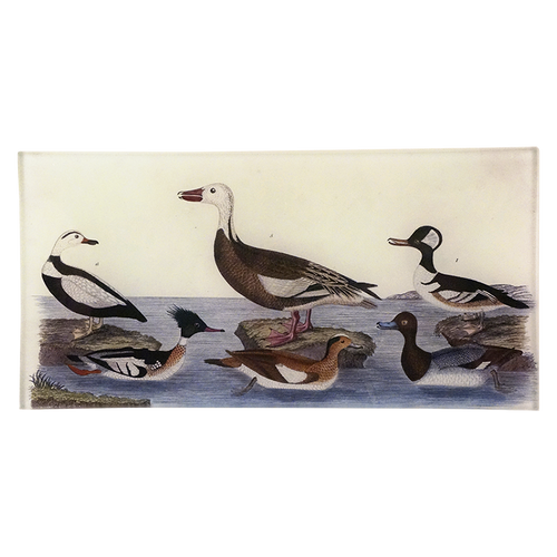 Ducks 69