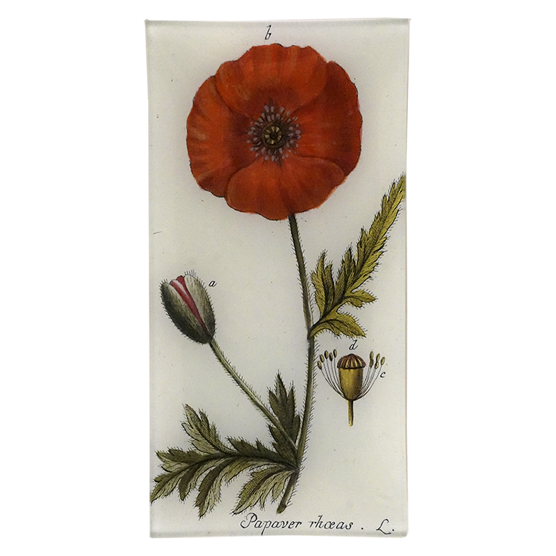 An image of a red poppy on a stem with green leaves on a four and a half inch by nine inch glass tray. 