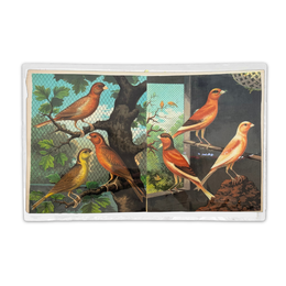 One-of-a-Kind Collaged Birds Mat (#4)