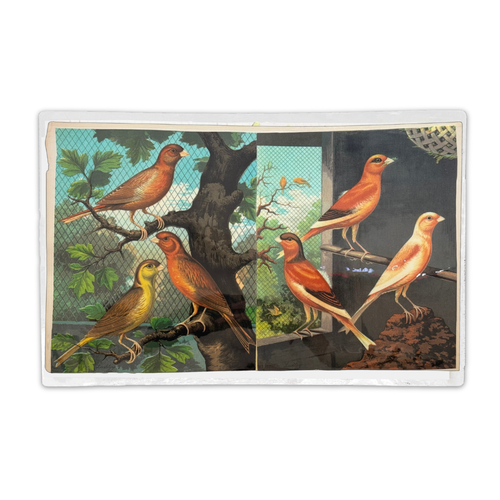 One-of-a-Kind Collaged Birds Mat (#4)