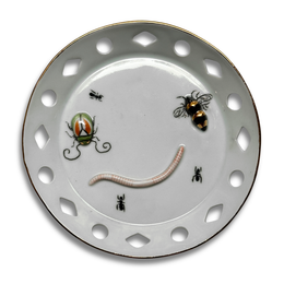 Beetle, Worm & Bee Bug Plate (BC330)