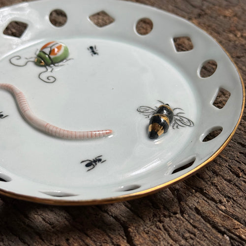 Beetle, Worm & Bee Bug Plate (BC330)