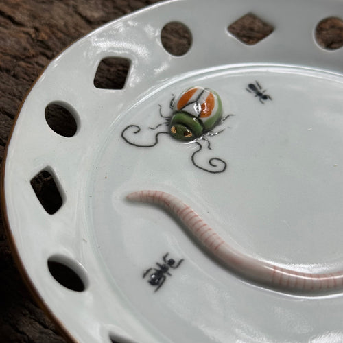 Beetle, Worm & Bee Bug Plate (BC330)