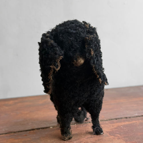 19th-century Toy Spaniel Dog
