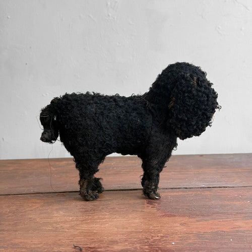 19th-century Toy Spaniel Dog