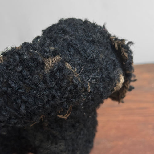 19th-century Toy Spaniel Dog