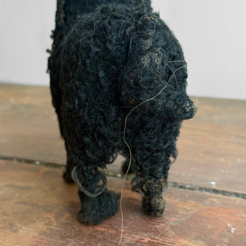 19th-century Toy Spaniel Dog