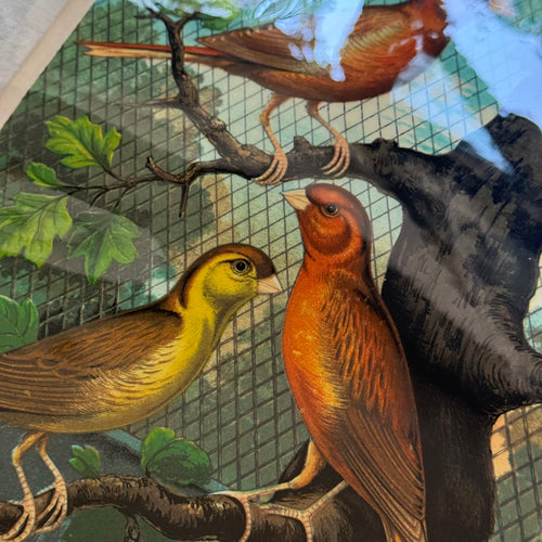 One-of-a-Kind Collaged Birds Mat (#4)
