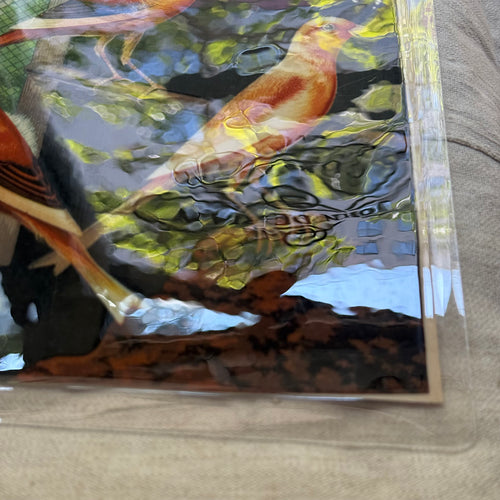 One-of-a-Kind Collaged Birds Mat (#4)