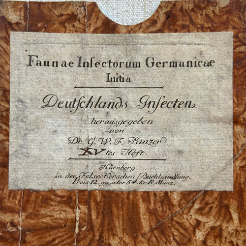 19th-century Marble Book Slipcase Sleeve #4