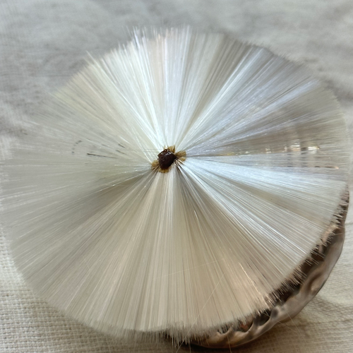 Nostalgic Angel Ornament with Fiber Glass Circle