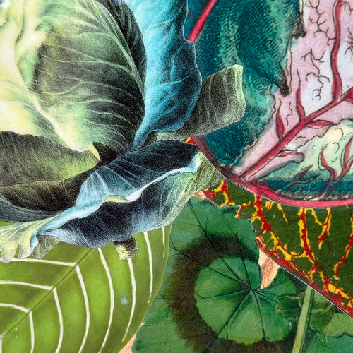 One-of-a-Kind Collaged Potted Bouquet of Foliage Mat (#51)