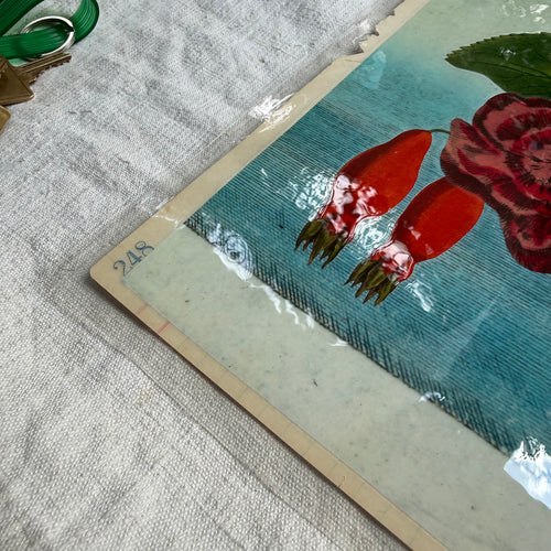 One-of-a-Kind Collaged Potted Bouquet of Pink Flowers Mat (#52)