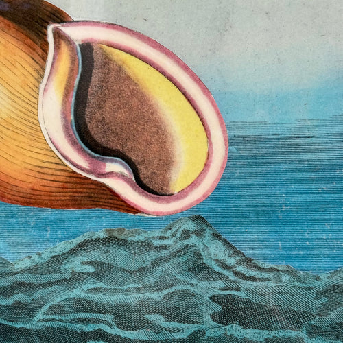 One-of-a-Kind Collaged Seashell Mat (#58)