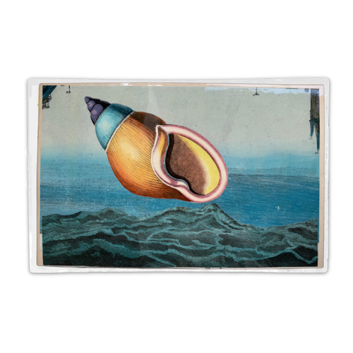 One-of-a-Kind Collaged Seashell Mat (#58)