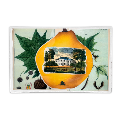 One-of-a-Kind Collaged Quince Mat (#59)