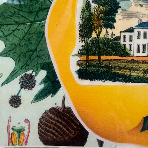 One-of-a-Kind Collaged Quince Mat (#59)