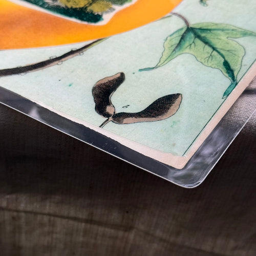 One-of-a-Kind Collaged Quince Mat (#59)