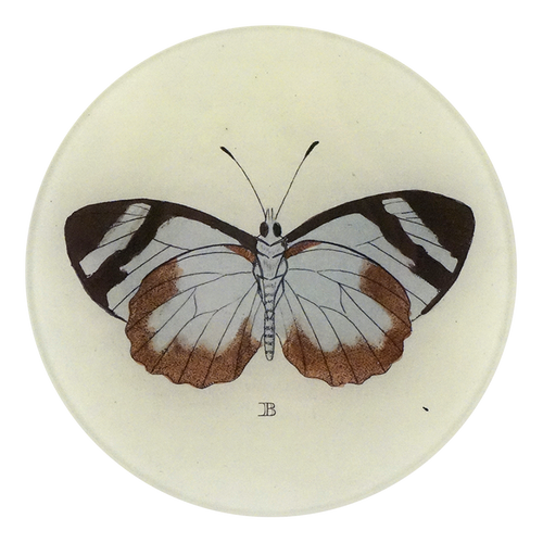 Butterfly B (Brown)