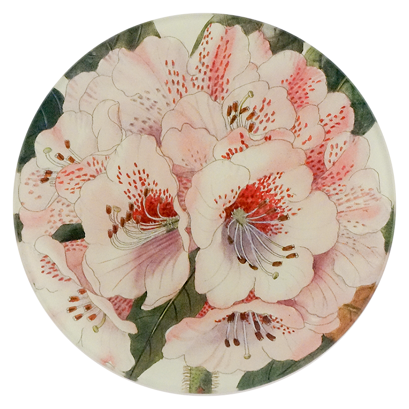 A five inch round glass plate featuring close up of a bundle of white flowers 