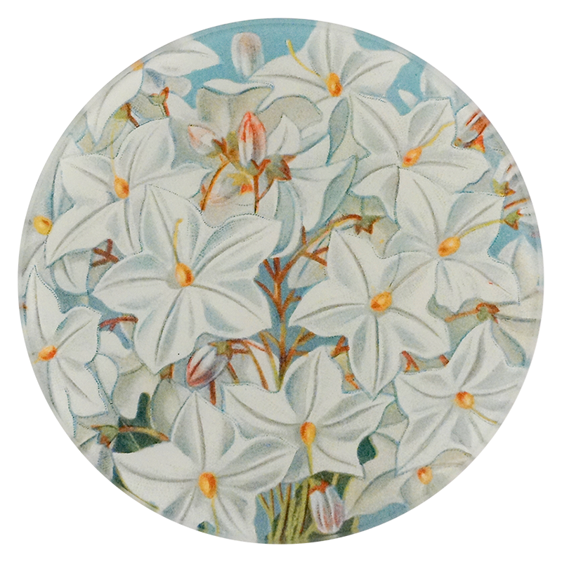 A five inch round handblown glass plate with floral design featuring white flowers and orange centers on a blue background