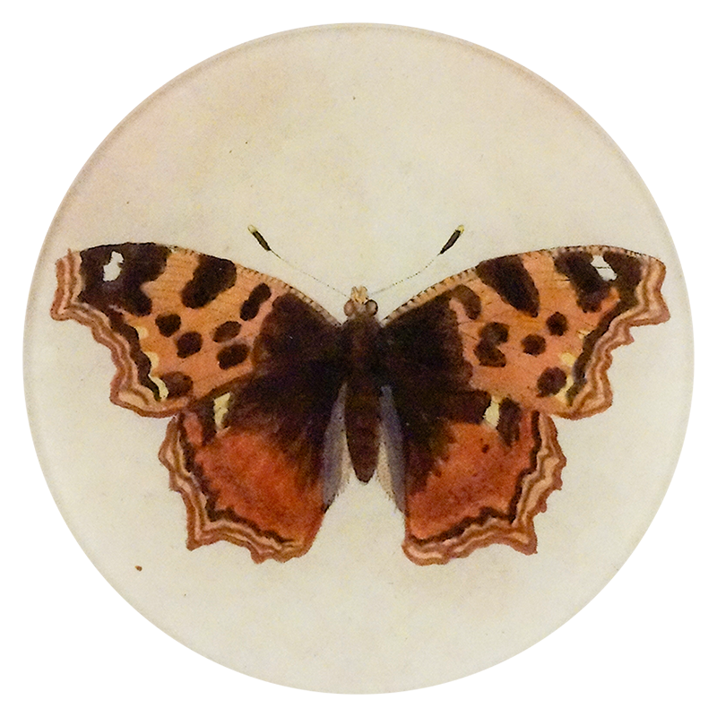 A five inch round handblown glass plate with a orange moth