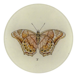 Butterfly F (Pink)