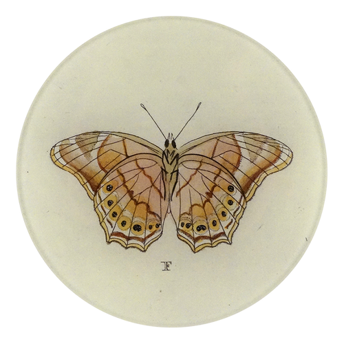 Butterfly F (Pink)