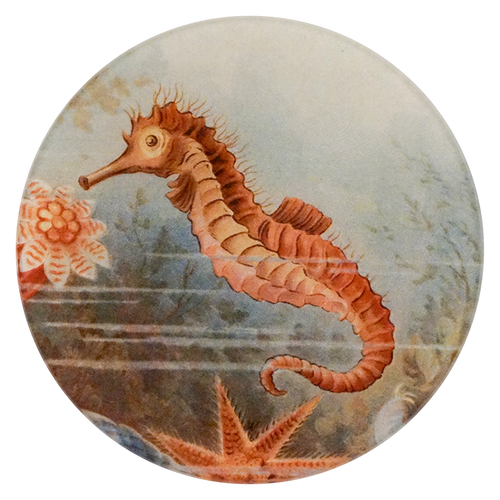 Seahorse