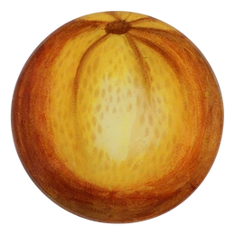Squash G - FINAL SALE