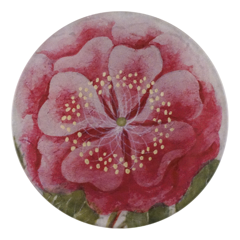 A five inch round glass plate featuring a close up of a pink tropical rose