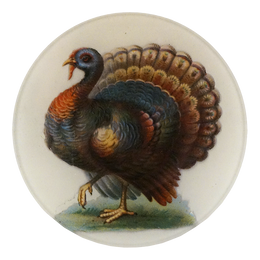 Wild Turkey