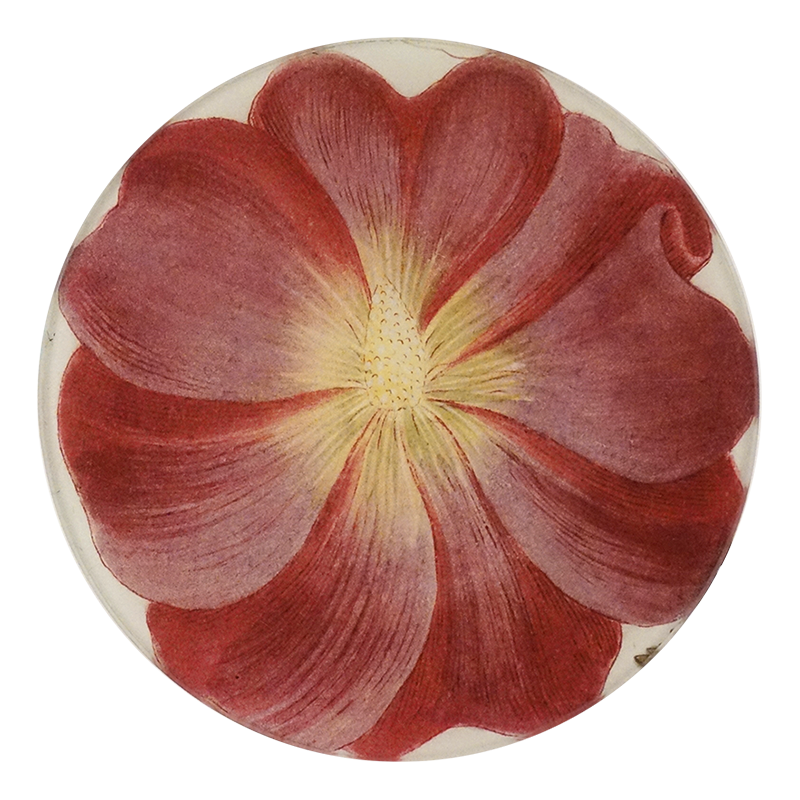 A five inch round glass plate plate with a floral pattern, featuring predominantly red petals and a yellow center