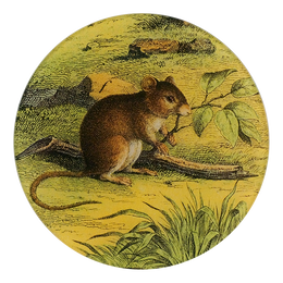 Mouse with Branch - FINAL SALE