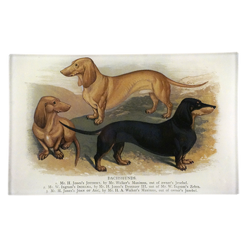 3 Dachshunds
