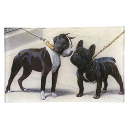 Boston Terrier & French Bulldog