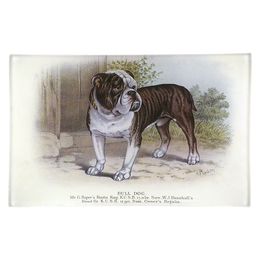 Bull Dog