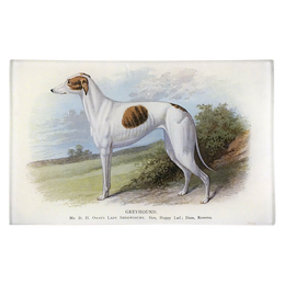 Greyhound